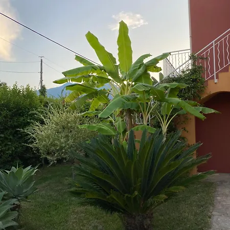 Lo Monaco De Villa, Et Vakantiehuis San-Nicolao
